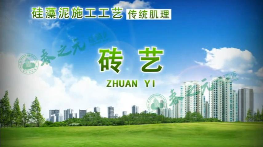 傳統(tǒng)肌理 磚藝