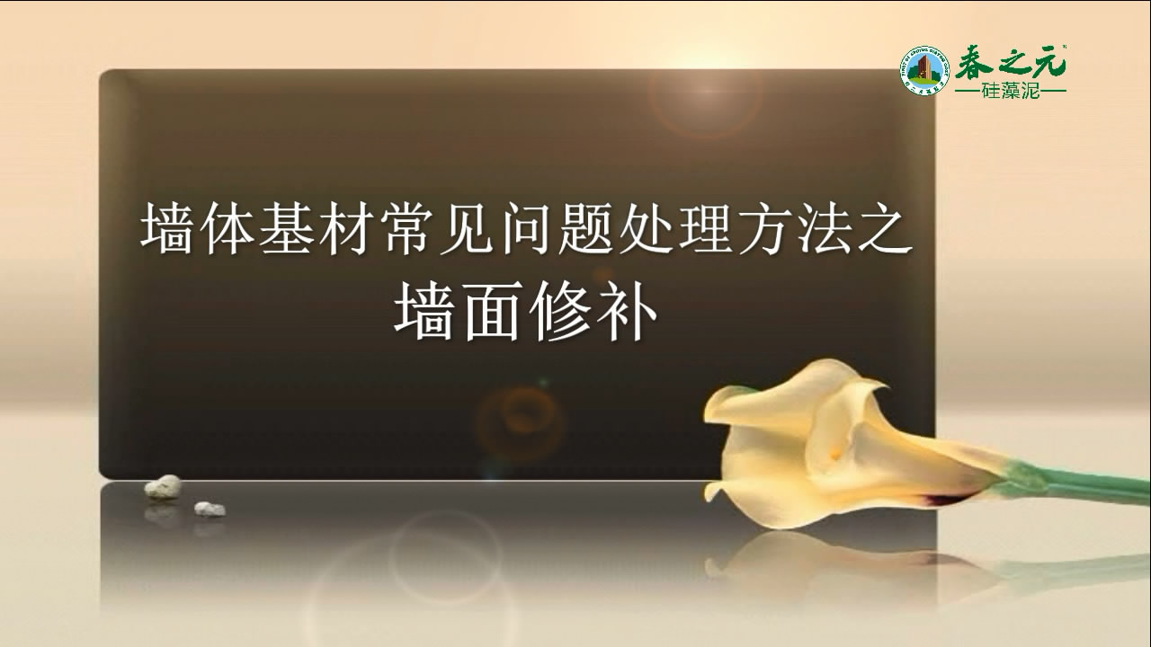 《墻體基材常見(jiàn)問(wèn)題的處理方法》之墻面修補(bǔ)