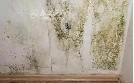 為了除濕和加濕買一堆設備？其實家里有了它，這錢都可以省了