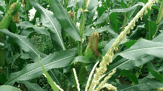 秋風(fēng)來(lái)了,秋雨落了,秋季裝修時(shí),你要格外注意的都有哪些呢?